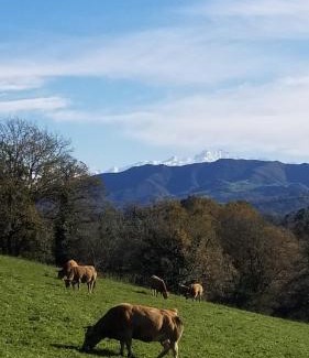 Vallobal House | La Cerezal II