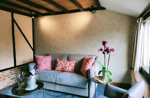 Aubigny-sur-Nere Hotel | La Chaumière