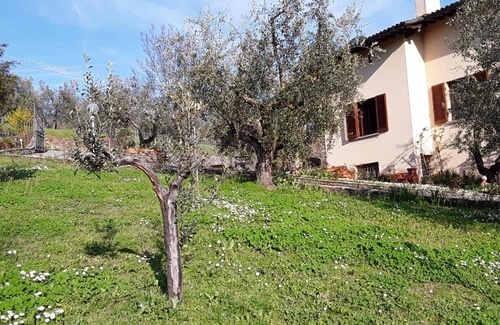 Giugnano Bed & Breakfast | La collina degli olivi