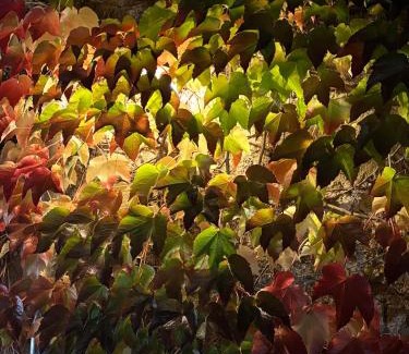 Perrier Hotel | la Cour Carrée