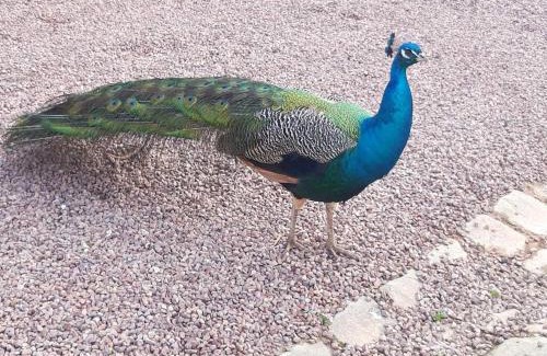 Sarceaux House | La Ferme de Frévan