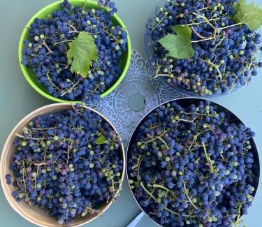 Soyaux House | La Grange d'Antornac