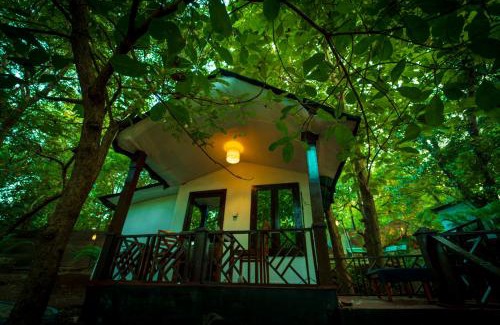 Palolem Resort | La La Land Resort Goa