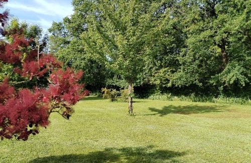 Lainsecq House | La lande sèche