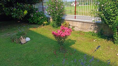 Castiglione Torinese Apartment | La Magnolia B&B