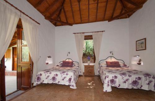 La Montana House | La Montaña