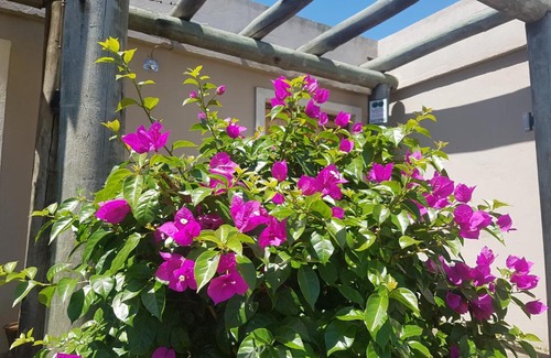 Punta Colorada House | La Rodriguera Punta Colorada 092199199