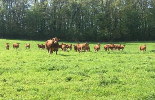 Rebets House | La Roulotte du Moulin de Rebets