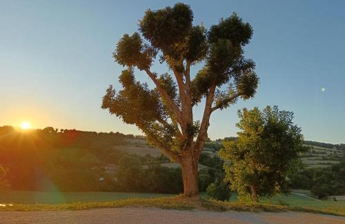 Le Chalon Apartment | La Source Bleue