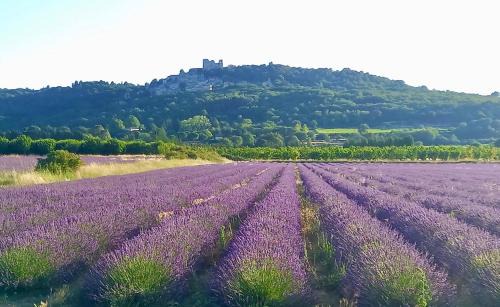 Lagnes House | La Villa 1777