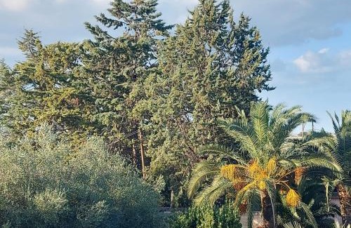 Barletta Bed & Breakfast | LA VILLA DEL CONTE