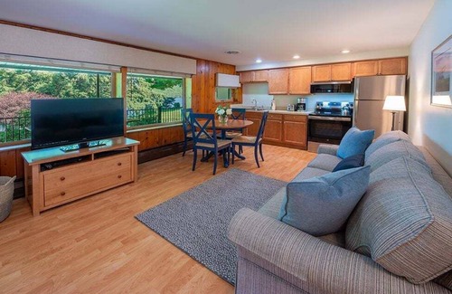 Town of Jerusalem Apartment | Lady of the Lakes Suites 4: Flight over Keuka