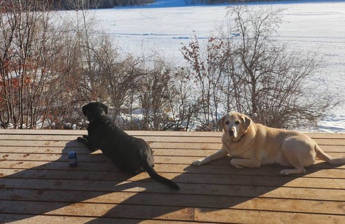 East Kootenay House | Lakefront escape perfect for the family