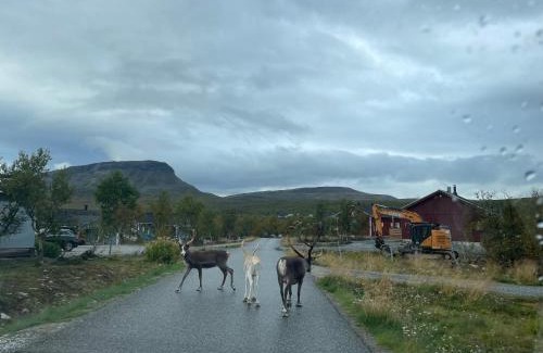 Kilpisjarvi Apartment | Lakeside Chalet Vinkka