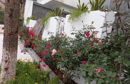 Sam Son Apartment | Lakeside Villa FLC Sầm Sơn