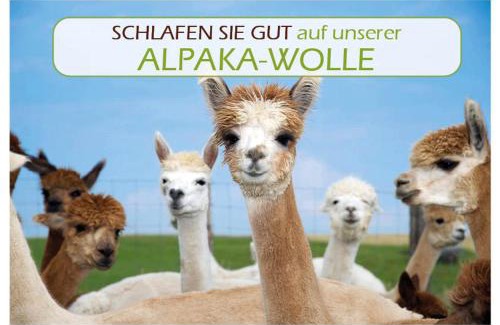 Kirchheim am Ries Hotel | Landhotel Oßwald