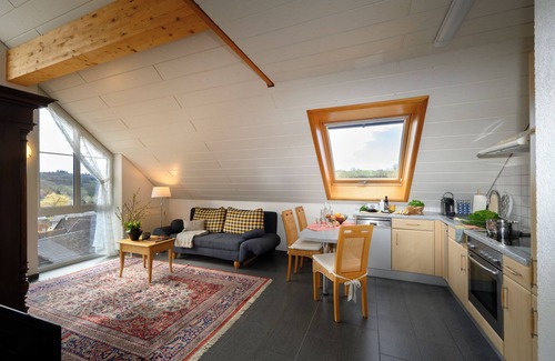 Schienen Apartment | Large Holiday Apartment "Vestner" on Lake Constance with Wi-Fi, Balcony, Terrace & Garden