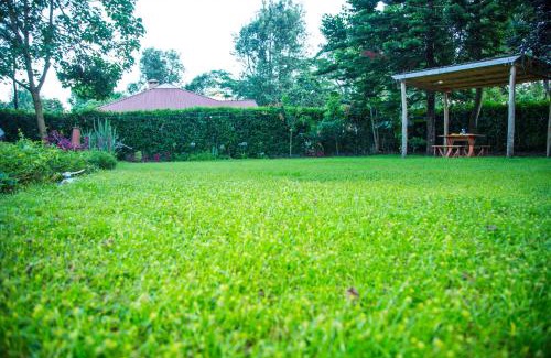 Nkoanrua Bed & Breakfast | Lavender Coffee Farm House
