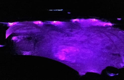 Stari Grad Villa | LAVENDER HILL HVAR VILLA ****with pool,jacuzzi,sauna.