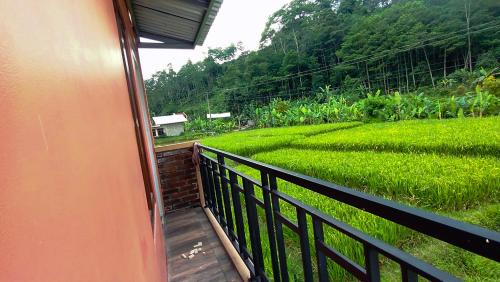 Wonosobo Bed & Breakfast | Laze Hiatus
