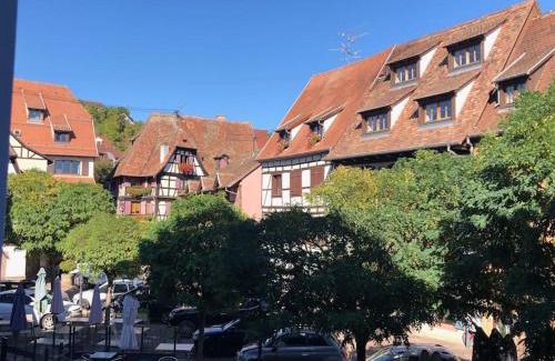 Obernai Apartment | Le Carrousel - Appartement cosy centre Obernai