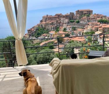 Marina di Pisciotta Apartment | le case dei fiori