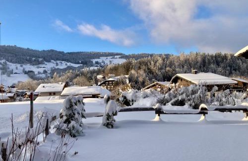Demi-Quartier Apartment | Le Chalet 138 Megève appartement pour 8