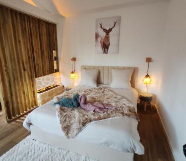 Troyes House | Le Chalet Champenois - Jacuzzi - Terrasse - Calme - Ciné Netflix