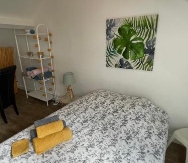 Lamballe Apartment | Le cocon jaune - Studio en hyper centre