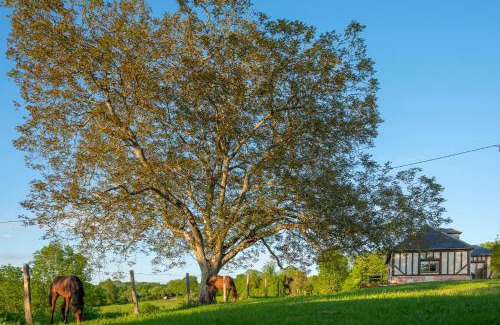 Roiville House | Le Cottage des Trotteurs - Vue panoramique - 6p
