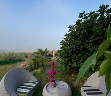 Darvoy Bed & Breakfast | Le Domaine de Darvoy