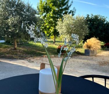 Darvoy Bed & Breakfast | Le Domaine de Darvoy