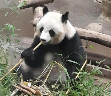 Seigy House | Le Domaine de Louise