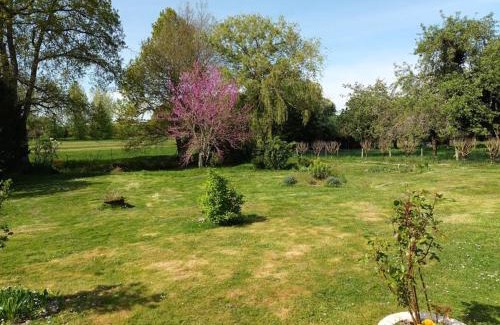 Veuil House | Le domaine du bengal 2