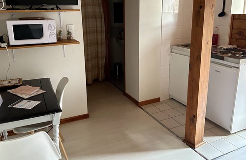 Villemoiron-en-Othe Apartment | Le domaine du Lavoir /moumoune sleeps 4. Jacuzzi access from April to October