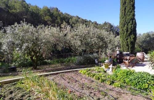 Le Barroux House | le frangipanier