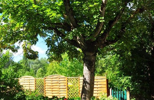 Molieres-Glandaz House | Le Gite de la Lyre