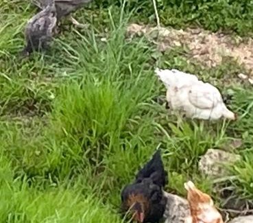 Lablachere House | Le gite du moulin