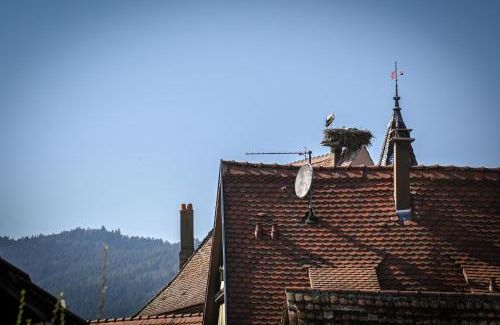 Eguisheim House | Le Hameau d'Eguisheim - Chambres d'hôtes & Gîtes