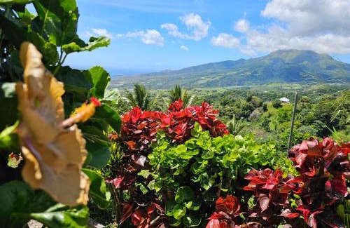 Fonds Saint Denis House | Le Hameau du Morne des Cadets