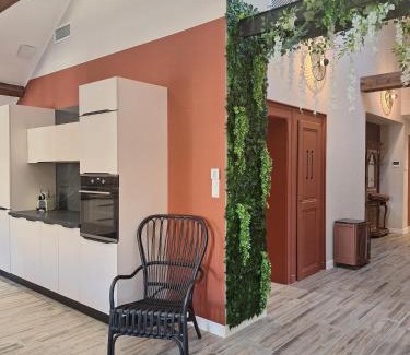 Aix-les-Bains City Center Apartment | Le Loft du Centre Ville