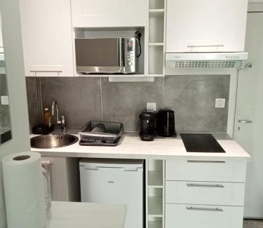 Patte d'Oie Apartment | Le Loft Toulouse Saint Cyprien - Studio Métro 3 mn