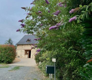 Boce House | Le Logis de la Chouette