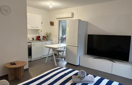 Saint-Julien-en-Genevois Apartment | Le Lorina I Studio