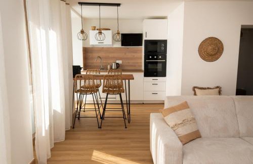 Oberhaslach Apartment | Le Manguier, Apartment & Spa