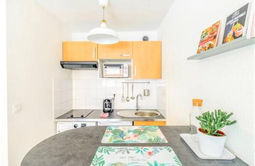 Minimes - Barriere de Paris Apartment | LE MONTMORENCY - Free Parking - Airbus - Netflix