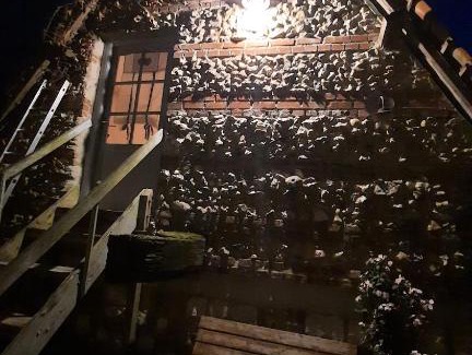 Torcy Bed & Breakfast | Le nid'Ange