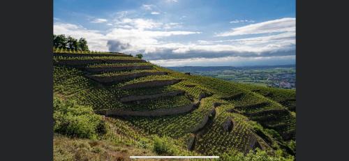 Tain-l'Hermitage House | Le Pavillon de l'Hermitage - Spa ouvert d'Avril à Octobre
