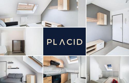 Vitry-en-Artois Apartment | Le petit repos