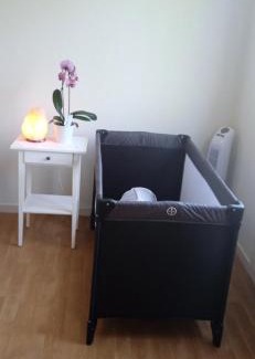 Maladiere Apartment | LE PHENIX à internet haut débit & parking